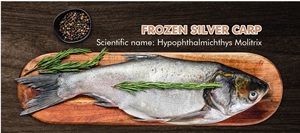 High Quality GS Red Tilapia Grade a IQF Frozen Fish Vietnam Origin - Product Image 2