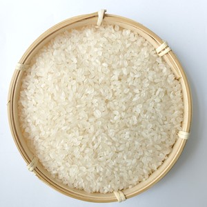 Calrose de alta calidad del sur de Mekong, Vietnam, Arroz de grano corto, textura suave seca, patrón medio - Product Image 6