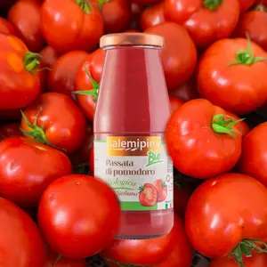 100% Italiaanse Topkwaliteit Tomatenpuree Siciliaanse 420 G