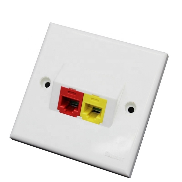 86X86 Dual Ports Panduit Type Face Plate Cat6
