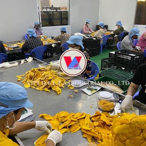 Rebanadas de Mango Seco del fabricante de Vietnam, estándar de exportación a muchos países - Product Image 5
