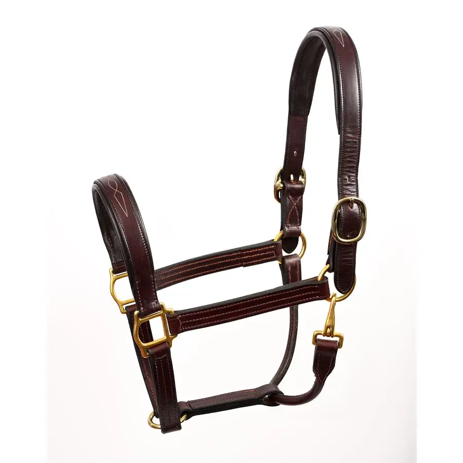 Fancy khâu da ngựa Halter Havana/Havana Padding Brass phần cứng