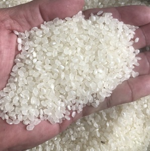 Arroz Blanco Japonés Japonica de Alta Calidad para Sushi, Grano Corto, Empaque OEM, Muestras Gratis, Similar a Basmati ANNA DO - Product Image 1