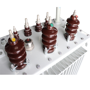 Triphasé 60kVA à 1000kVA transformateur de puissance haute tension 11kV 33kV pour la connexion au réseau - Product Image 2