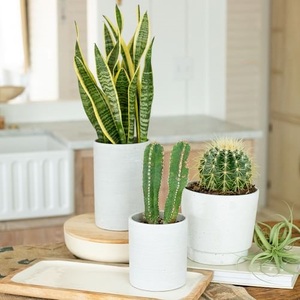 Vente directe d'usine Pots de fleurs en métal blanc auto-arrosage plusieurs formes Pot de jardinière extérieur intérieur - Product Image 1