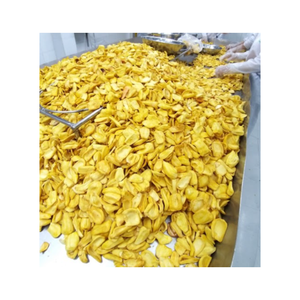 Meilleure affaire-Fruit du jacquier sucré Séché par de nombreuses méthodes Séchage à chaud lyophilisé Fruits tropicaux séchés - Product Image 1