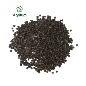 Cheap Price export Hot Spices BLACK PEPPER for producing new crop Seasonings