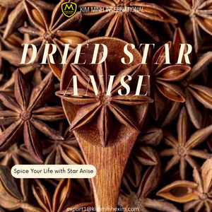 Anis étoilé entier séché de qualité supérieure _ Approvisionnement en vrac pour les importateurs et les grossistes - Product Image 2
