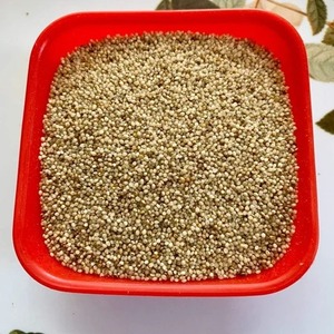 Millet à haute teneur en protéines Alimentation animale pour bétail Supplément nutritionnel de qualité supérieure - Product Image 1