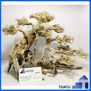 Producto superior Ecológico Adornos de coral artificial Bonsai Driftwood Seguro para la decoración de peceras de Vietnam para mayoristas - Product Image 2