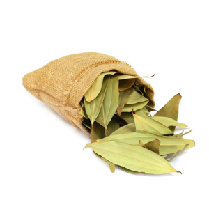 Kanha Nature Oils Hydrosol de feuille de laurier de qualité supérieure 100% Pure Essential OEM/ODM Bulk Buy Prix de gros pour les soins du corps et des cheveux - Product Image 4