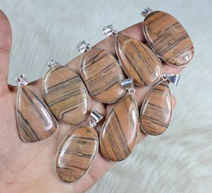 Superb Natural Zebra Jasper cabujón plateado acero menos aleación colgante hecho a mano moda venta al por mayor joyería colgantes y dijes - Product Image 3