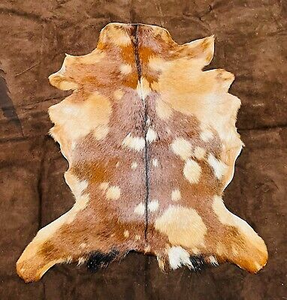 Premium African Cow and Sheep Hides and Skins for Sale for Global Markets Approved High Quality <b>Wet</b> Salted Kenyan Hides/Skin - Product Image 5