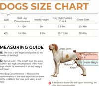 Harnais de soutien pour genou et hanche de chien en nylon personnalisé et confortable, avec fermeture réglable pour dysplasie de la hanche, lésion du ligament croisé antérieur et arthrose