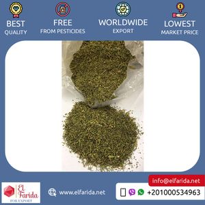 ใบออริกาโนซีนี คุณภาพสูง 100% บริสุทธิ์และเป็นธรรมชาติ จากอียิปต์ บดแห้ง พร้อมจากผู้จัดจำหน่ายที่เชื่อถือได้ - Product Image 2