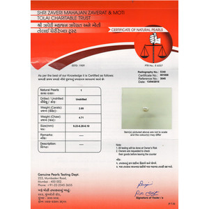 Perlas Sueltas Basra Pearl de 2.69 Quilates - Product Image 4