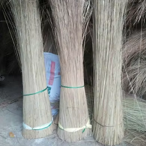 Bâtons de balai de noix de coco respectueux de l'environnement adaptés au jardin et au nettoyage intérieur - Product Image 1