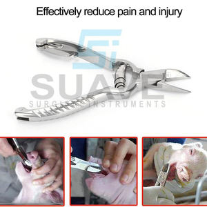SUAVE SURGICAL INSTRUMENTS 12cm Stainless Steel Piglet Clipper Reusable Pig Teeth Cutter to Prevent <b>Biting</b> - Product Image 3