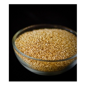Fournisseur en gros de stock en vrac de semences biologiques fraîches Grains de quinoa blanc Grains de soins de santé - Product Image 6