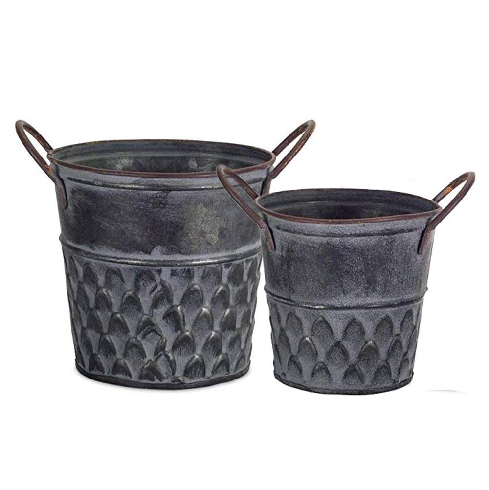 ตามที่แสดง