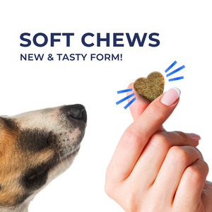 OEM & Private Label Soft Chews for Dog Skin and Coat Support Omega 3 Vitamin E C Pet Health Care & Supplements - Product Image 6