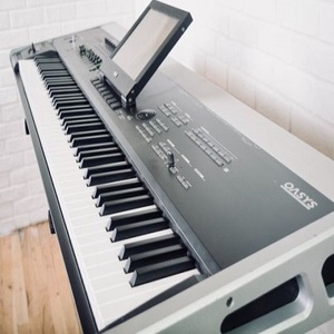 Nuevo Teclado Sintetizador de Piano Oasys de 88 Teclas - Product Image 1