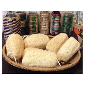 Eco Natural Loofah Body Scrubber for <b>Shower</b> and Bath Plastic Free Biodegradable Product OEM Available - Product Image 5