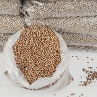 Granulés de bois de biomasse premium 6 mm