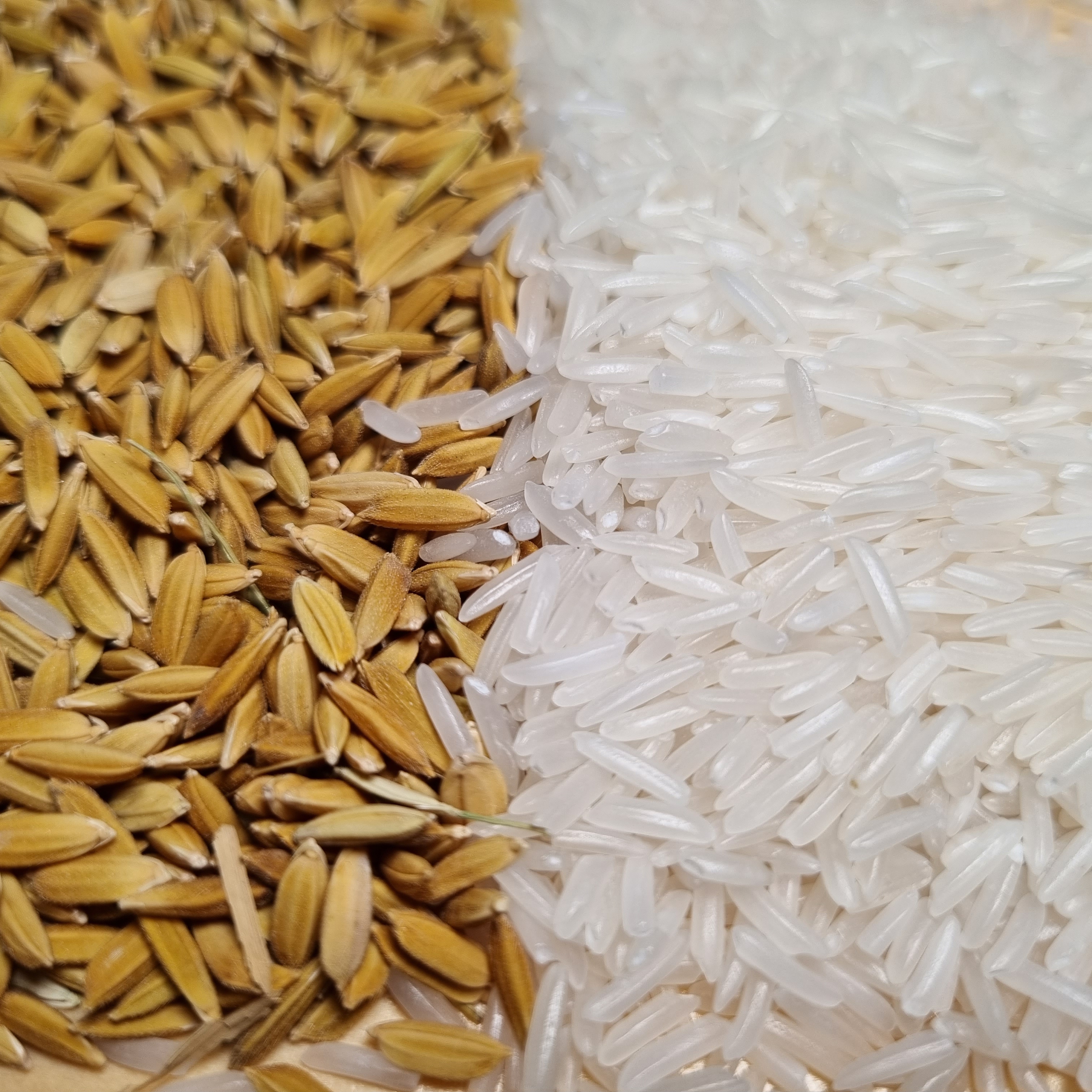 Vietnamese Long Grain White Rice ST25 Rice Private Label High Benefits Using For Food