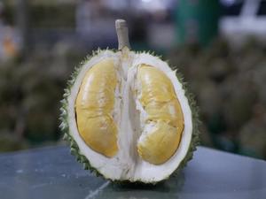 RI6 <b>Durian</b> Made in Vietnam so <b>Fresh</b> Premium Quality <b>Fresh</b> - Frozen <b>Durian</b> Fruit Monthong - Product Image 6