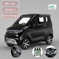 Voiture électrique compacte à moteur central certifiée EEC-L6e du fabricant chinois, sans permis, 25 km/h, autonomie 80 km, pour adultes, à vendre