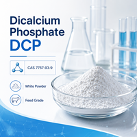 Phosphate dicalcique (DCP) de haute pureté WMK (CAS 7757-93-9) – Conservateurs pour additifs alimentaires animaux