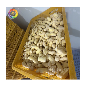 Mezcla de Jengibre Congelado IQF, Jengibre Entero Congelado, Jengibre Pelado, Jengibre en Rodajas y Jengibre en Cubos para Compradores de Todo el Mundo - Product Image 3