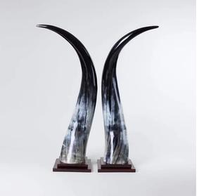 เปลือกหอยหอยนางรมขนาดเล็กขัดเงาธรรมชาติ30ชิ้นเปลือกหอยดิบสำหรับงานฝีมืองานประดิษฐ์ศิลปะแบบทำมือของตกแต่งคริสต์มาสของที่ระลึก - Product Image 6