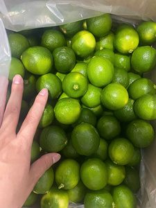 Exportador de Vietnam de Lima fresca sin semillas, cítricos de alta calidad, 12 meses de vida útil, marca VIOT, suministro al por mayor - Product Image 6