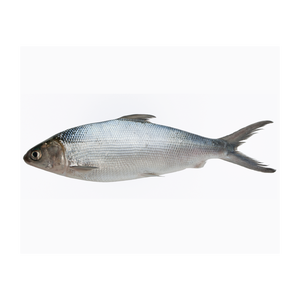 Lait de poisson congelé Bonne vente à bon prix - Product Image 1