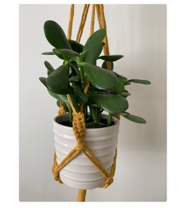 IFT idea debajo de 30 Gift idea para su Cstomustomizado acrame colgador de plantas Fo Wall and indindow Decoration - Product Image 2