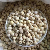 VENTE EN GROS GRAINES DE LOTUS CONGELÉES APPROVISIONNEMENT EN VRAC ALIMENTS SAINS NATURELS DE QUALITÉ SUPÉRIEURE HOT DEAL PRODUIT D'EXPORTATION PRINCIPALES VENTES