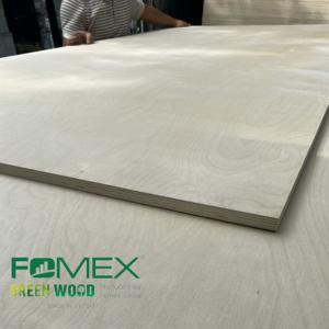 Madera contrachapada de abedul de estilo moderno para la fabricación de muebles Núcleo de eucalipto 4,6-24mm Formaldehído E0 exportado al mercado de EE. UU. - Product Image 1