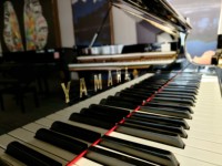Piano à queue numérique Yamaha C7B noir de haute qualité, style concert grand baby grand