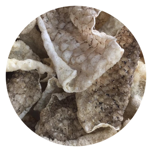 หนังปลาแซลมอนอบแห้งกรอบ/หนังปลาแซลมอนกรอบและปลาแซลมอน - Product Image 1