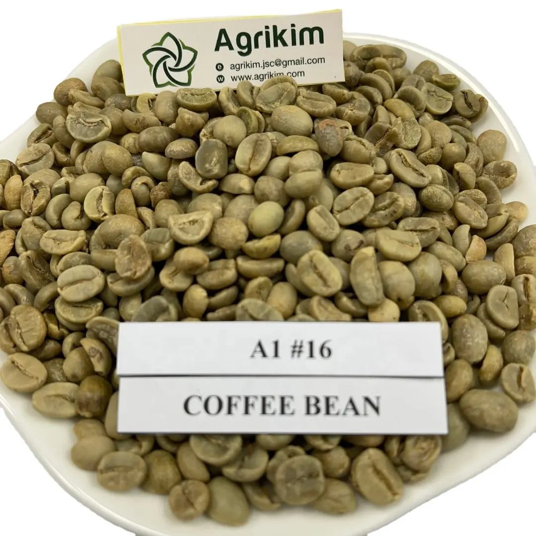 Hot Full Certificated Best Price For Arabica Green Coffee Beans Vietnam High Quality For Import Export- Ms. Tina: +84359166896