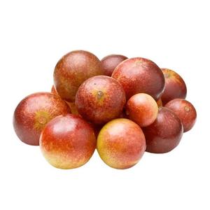 Polvo de Fruta de Camu Camu Peruano Puro al por Mayor, Alto en Vitamina C, Superalimento Orgánico, Materia Prima Exportada por Agrilatin SAC - Product Image 5