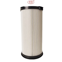 Repuesto 	 Filtro de Diésel para Camión 	 Purificación de Combustible 	 Motor Diésel 	 FS20250 WG99255509661 800172962