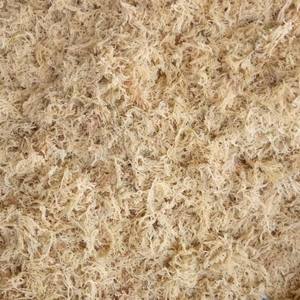 La mejor calidad Eucheuma cottonii/seamoss secos OEM en 2024 Ms Holiday - Product Image 4