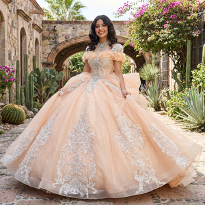 Robes de Quinceañera pour femmes XS242, avec appliques de paillettes, de sequins, de perles et de cristaux, imprimées, à nœud surdimensionné, traîne chapelle, longueur ras du sol - Product Image 1