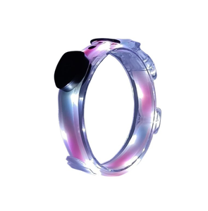 Collier et laisse pour animaux de compagnie personnalisés, réfléchissants et lumineux à LED, rechargeables par USB, sécurité nocturne pour chats et chiens - Product Image 1