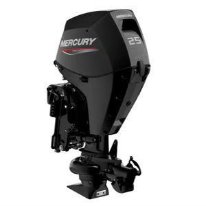 M e r c u r y Jet 25ELHGA FourStroke Excelente Estado - Product Image 1
