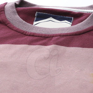 Sweatshirts pour hommes au design unique fabriqué en usine Sweatshirts pour hommes en coton mélangé Sweatshirts pour hommes de grande taille - Product Image 6