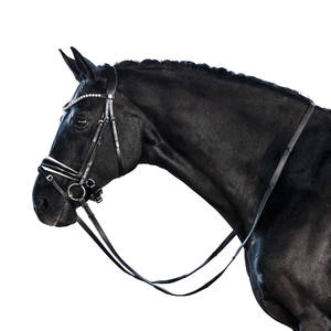 Brevet essentiel Snaffle Bridle Good Fancy Material Coffee Color ensemble complet Outdoor Comfort Fancy - Product Image 4